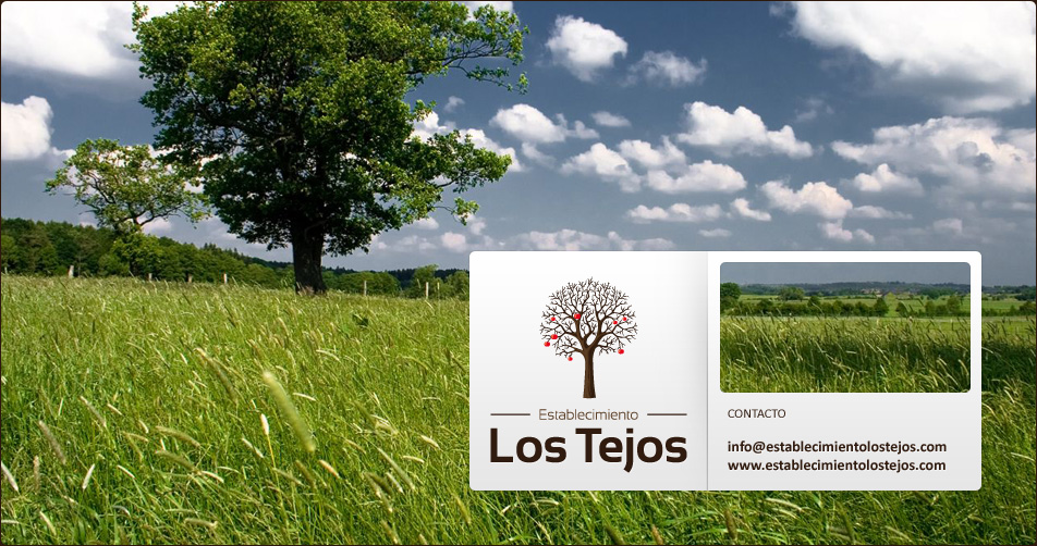 Establecimiento Los Tejos